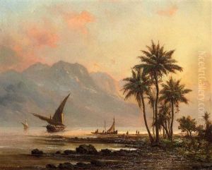 Venezuelan Coastal Landscape