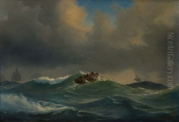 The Rescue - view 1