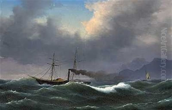 Dampskib I Hoj So - view 1