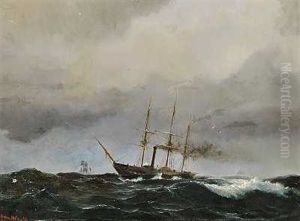 Damper Pa Havet I Gravejr Damper Pa Havet I Gravejr