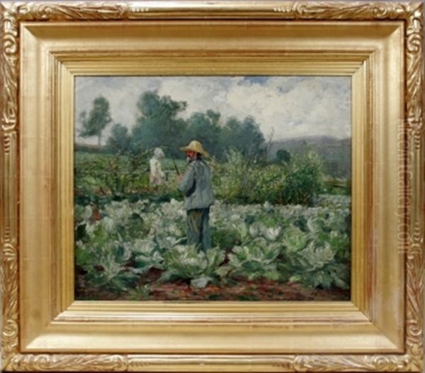 Cabbage Patch - view 1