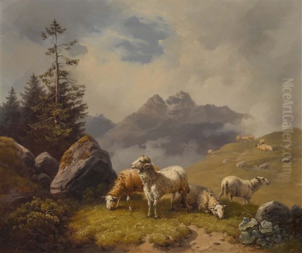 Schafe In Gebirgslandschaft - view 1