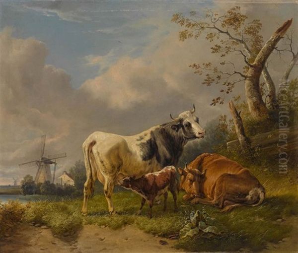 Kuhe In Niederlandischer Landschaft - view 1