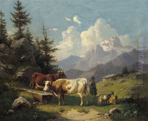 Sennerin Und Tierherde Auf Der Hochalm