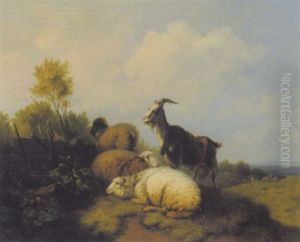 Schafe Und Ziege Auf Der Weide by Wilhelm Melchior