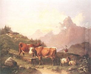 Auf Der Alm