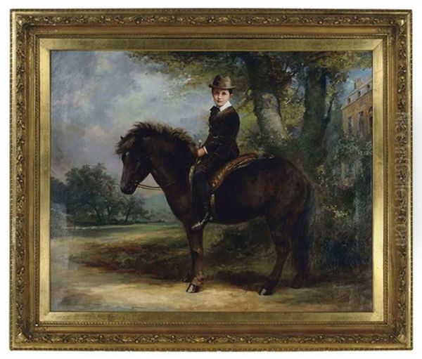 Young Boy On A Shetland Pony - view 1