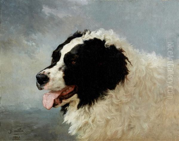 A Head Of A Landseer Newfoundland - view 1