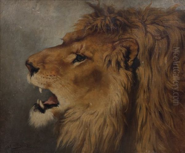 Tete De Lion - view 1