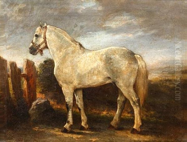 Portrait Of A Grey Horse Before A Landscape - view 1