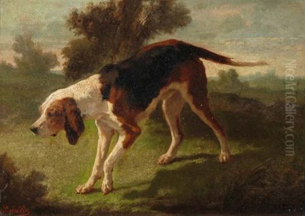Jagdhund - view 1
