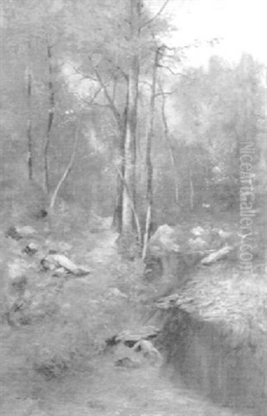 Spring, Piney Branch - view 1