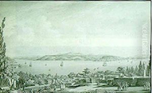Views Of The Bosphorus