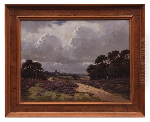Walberswick Common Near Southwold - view 1