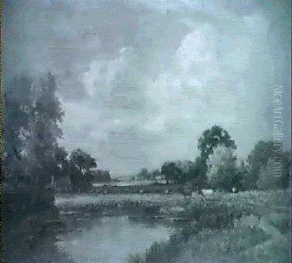 The Path By The River To Writtle, Chelmsford - view 1