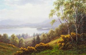 Langdale Pikes, Windermere And Bolton Woods, Yorkshire