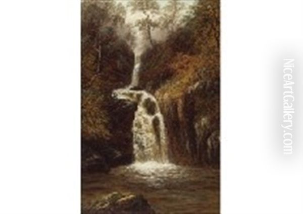Waterfall Of Rydell Park - view 1