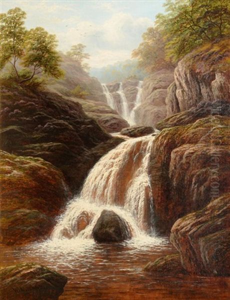 Swallow Falls On The Machno - view 1
