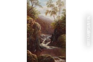 Forest Stream With Heron