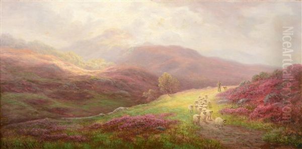 Shepherd And Sheep In Moorland - view 1