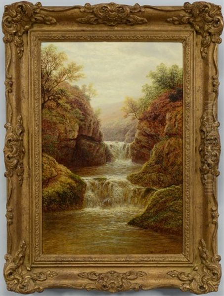 Baxenghyll Falls, Ingleton - view 1