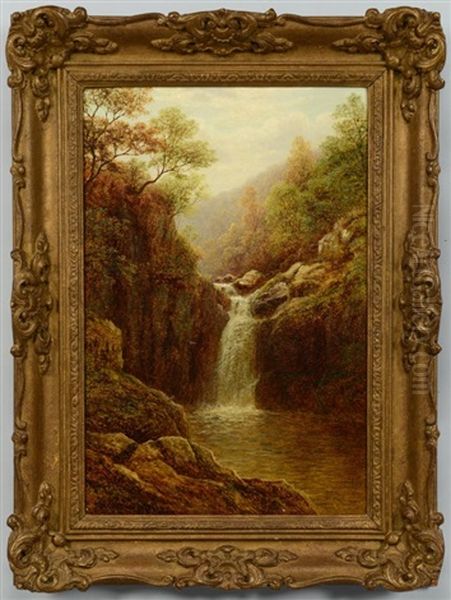 Pecca Falls, Ingleton - view 1