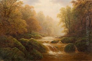 Padley Woods, Derbyshire