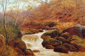 On The Burbage, Padley Woods, Derbyshire