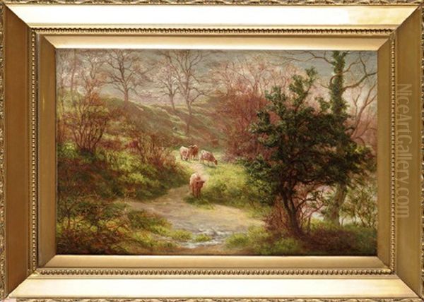 In Birkham Woods, Knaresborough, Yorkshire - view 1