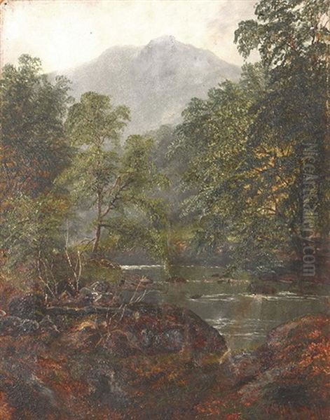 Calm River In The Forest - view 1