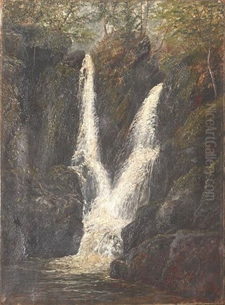 Small Waterfall In The Woods - view 1
