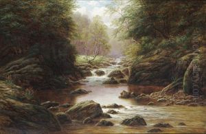 Swilla Glen, Ingleton by William Mellor