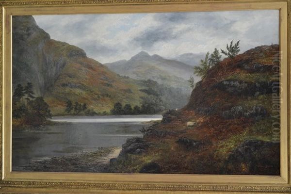 Sheep By The Side Of A Lake - view 1