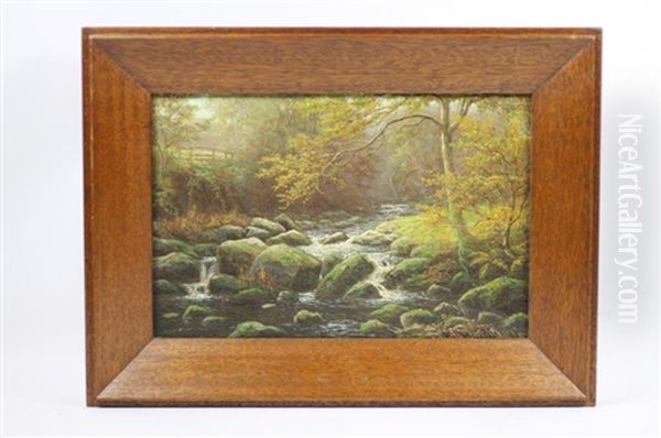 Posforth Ghyll, Bolton Woods, Yorkshire - view 1
