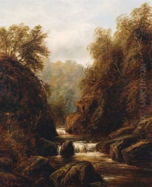 Autumn Landscape With Forest, Valley And Running Stream - view 1