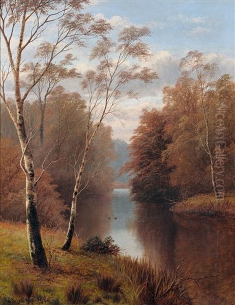 Silver Birch Trees Beside A River - view 1