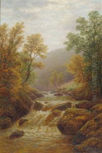 Dale Ghyll, Ingleton Dale Ghyll, Ingleton