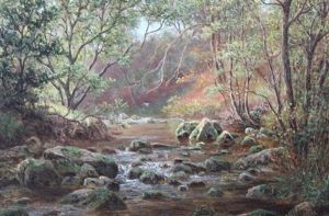 Woodland Stream Woodland Stream