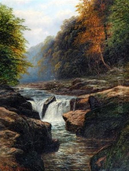 The Strid, Bolton Woods - view 1