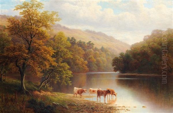 Calm Waters On The Wharfe, Bolton Woods, Yorkshire - view 1