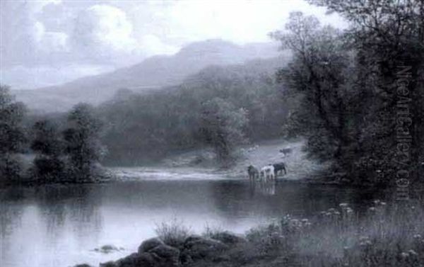 On The Llugwy, North Wales - view 1