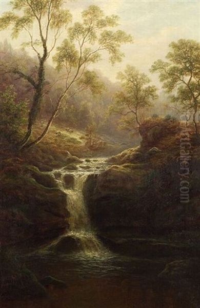 Fairy Dell, Near Ilkley - view 1