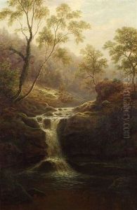 Fairy Dell, Near Ilkley