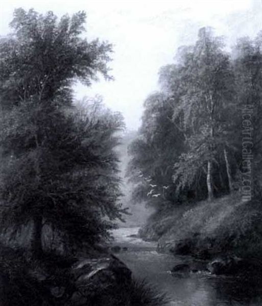 Bolton Woods, Yorkshire - view 1