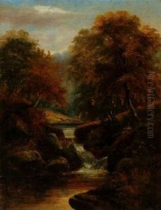 Falls Near Dolgelly, N. Wales by William Mellor