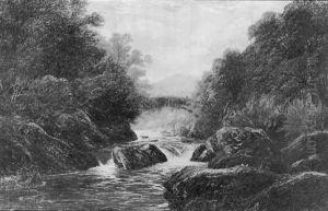 On The Lledr, Bettys Y Coed On The Lledr, Bettys Y Coed