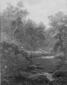 Bow Beck, Near Ilkley
