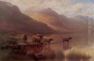 Untitled (north Wales) by William Mellor