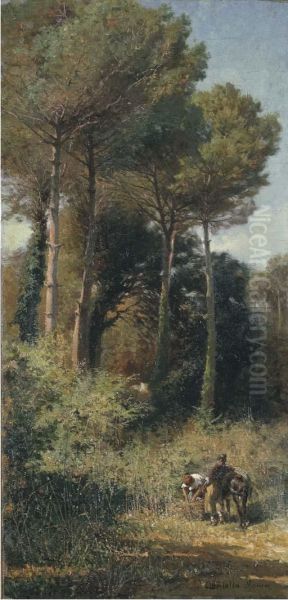 Fascinaie Nel Bosco - view 1