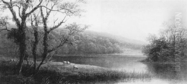 On The Conway, North Wales, With Sheep Grazing In The Foregound - view 1